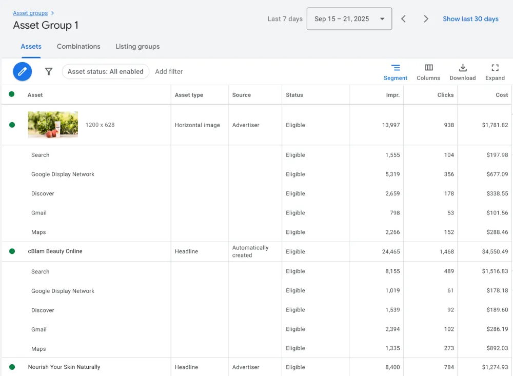 Asset level Performance Max Reporting
